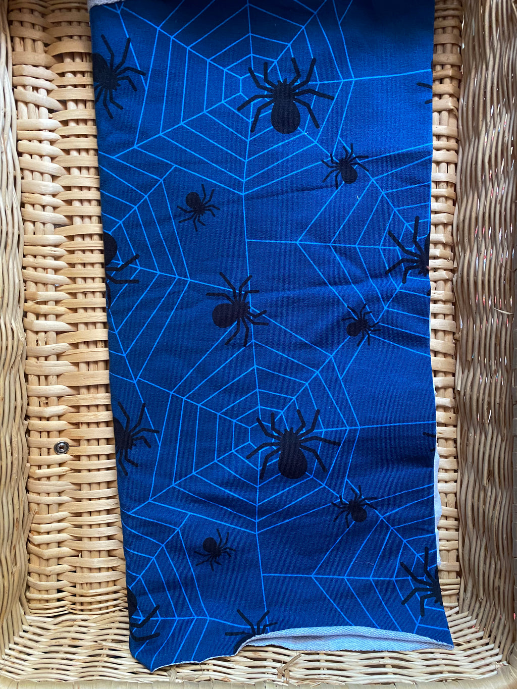 Itsy Bitsy Spider - French Terry