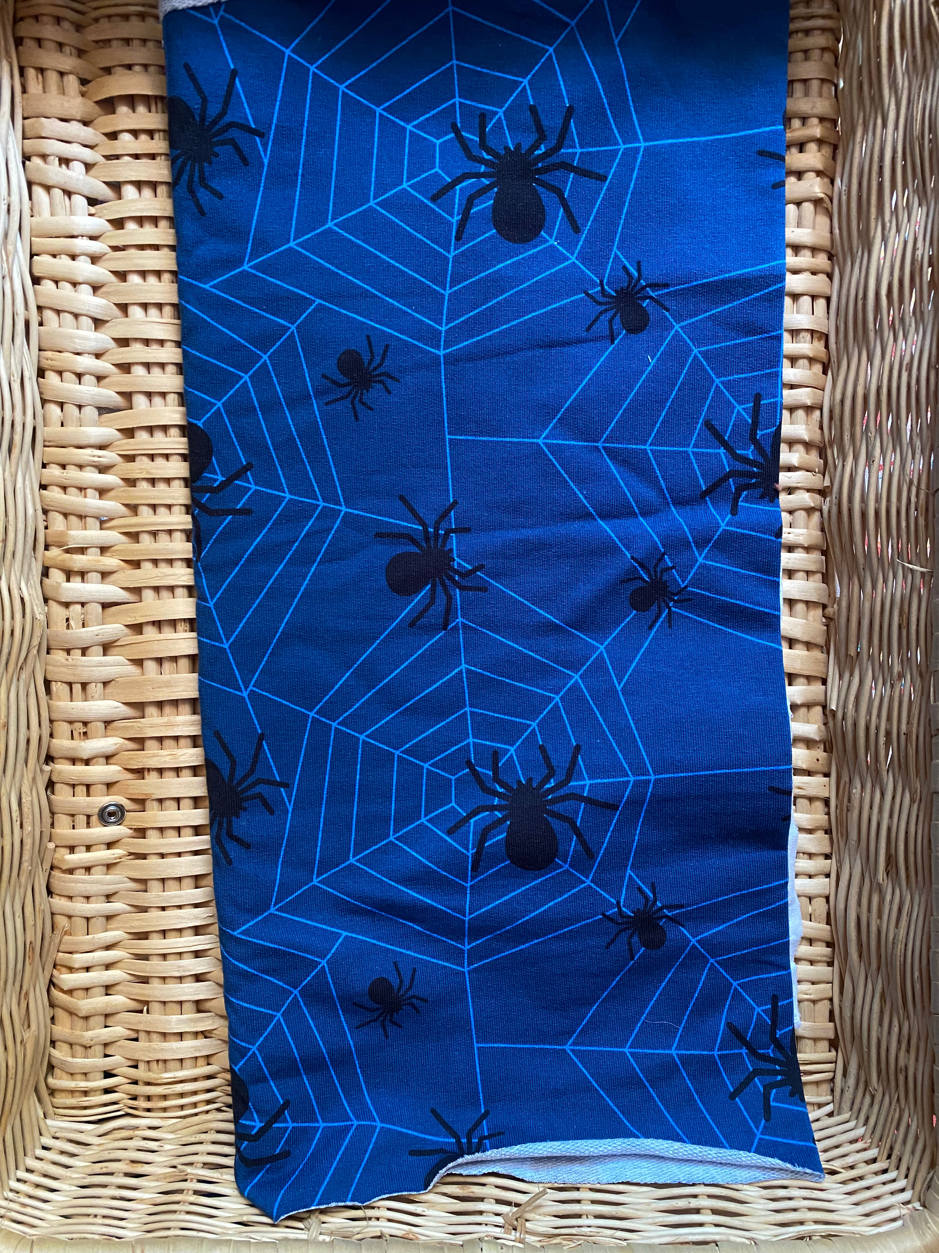 Itsy Bitsy Spider - French Terry